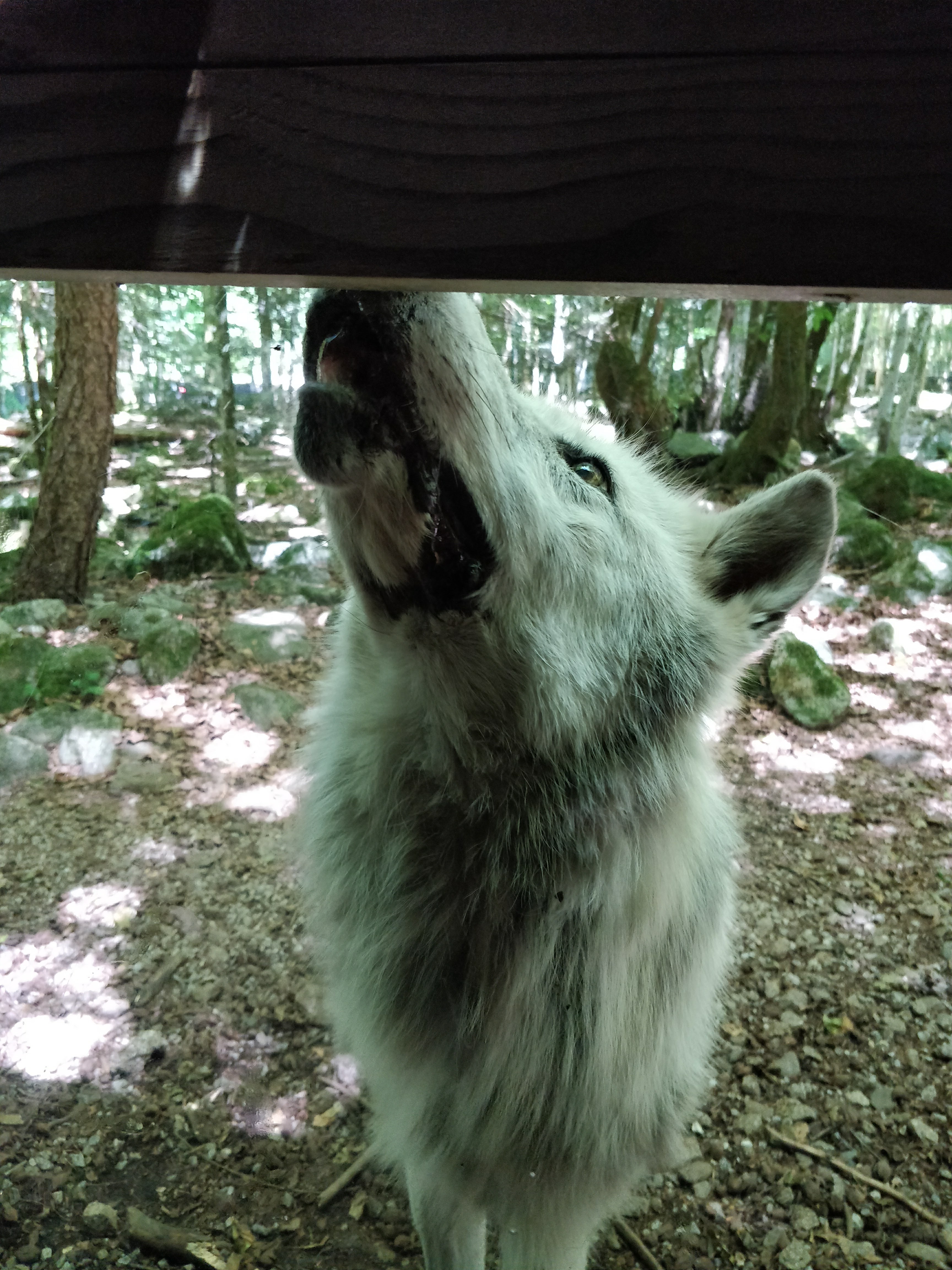 Photo n° 1 de l'avis de Dorian.e fait le 14/10/2017 à 07:01