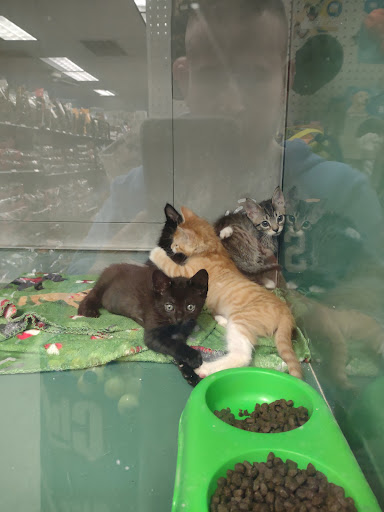 Pet Store «Animal Ark», reviews and photos, 2730 Brookdale Dr, Kingwood, TX 77339, USA