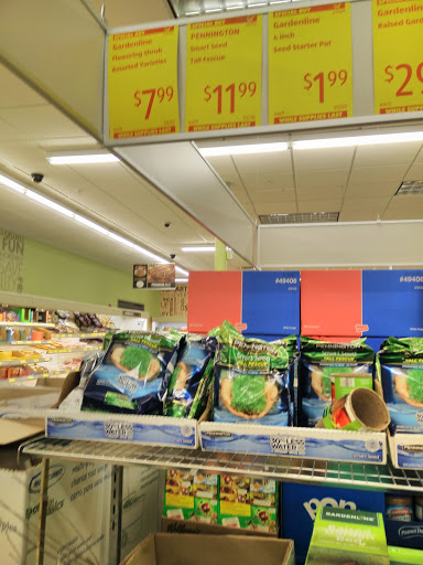 Supermarket «ALDI», reviews and photos, 4031 Wake Forest Rd, Raleigh, NC 27609, USA