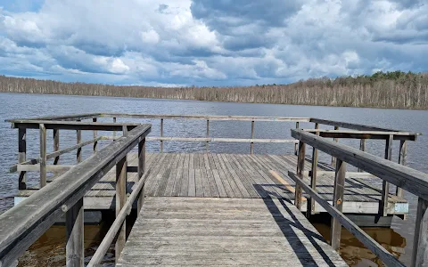 Rezerwat przyrody Jezioro Obradowskie image