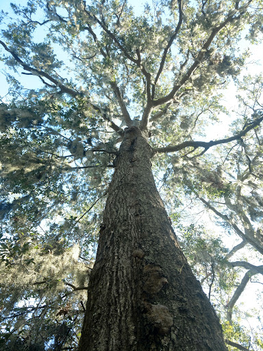 Christian Church «Christian Healing Ministries», reviews and photos, 438 W 67th St, Jacksonville, FL 32208, USA