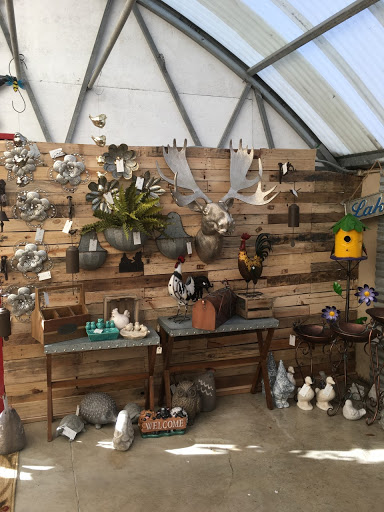 Greenhouse «Ironwood Floral & Greenhouse», reviews and photos, 117 E 20th St, Pueblo, CO 81003, USA