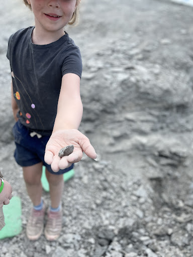 Nature Preserve «Penn Dixie Fossil Park & Nature Reserve», reviews and photos, 4050 North St, Blasdell, NY 14219, USA