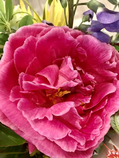 Florist «Lake O. Floral», reviews and photos, 397 N State St, Lake Oswego, OR 97034, USA