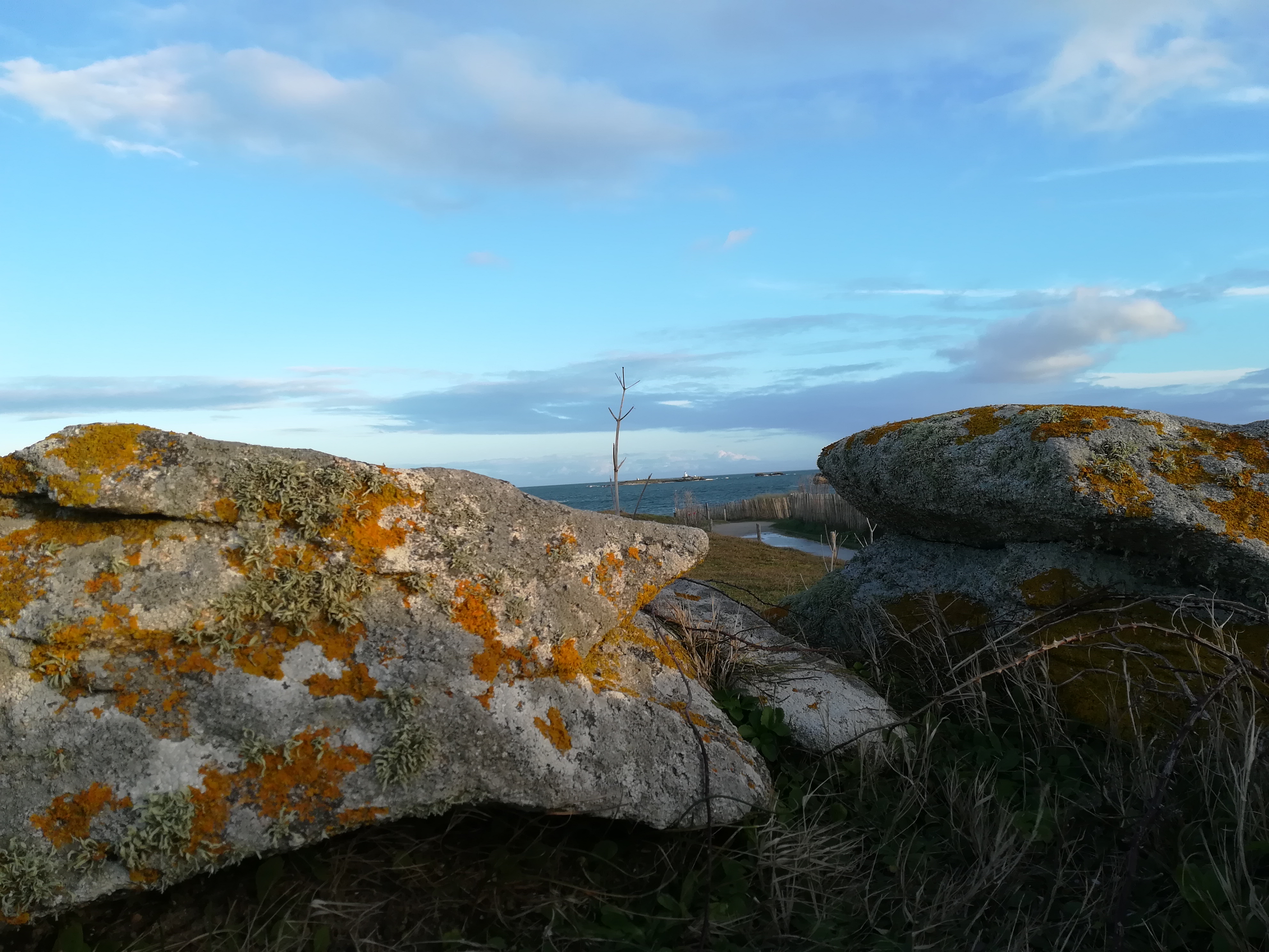 Photo n° 2 de l'avis de Yann.e fait le 05/02/2018 à 18:32