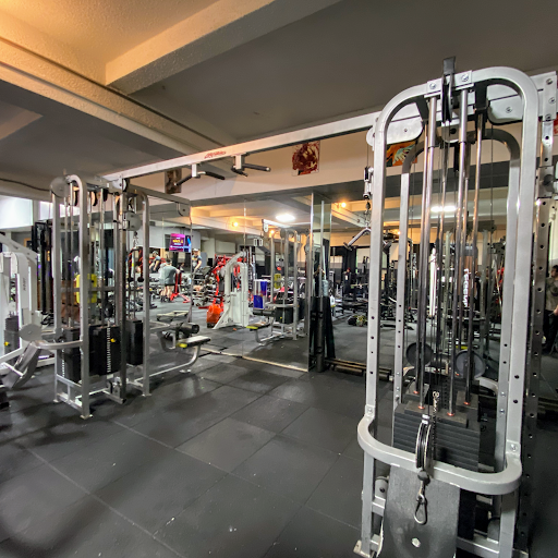 Gym «Elite Gym», reviews and photos, 782 Coney Island Ave, Brooklyn, NY 11218, USA