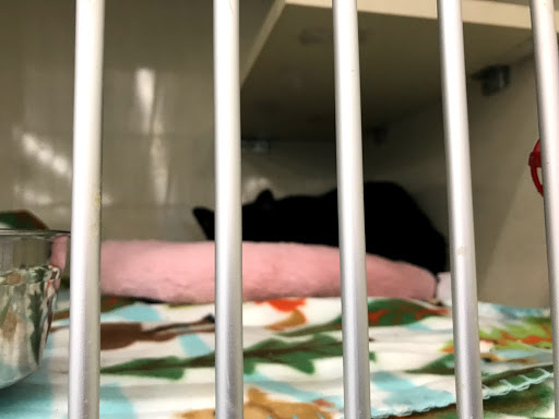 Pet Supply Store «Petco Animal Supplies», reviews and photos, 1820a W Uintah St, Colorado Springs, CO 80904, USA