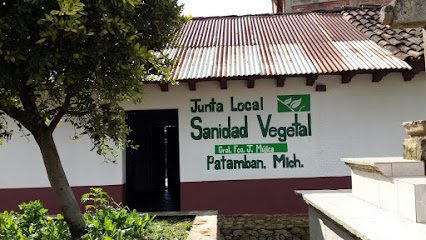 Junta Local de Sanidad Vegetal de Tangancicuaro