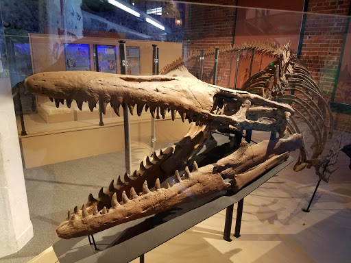 Museum «Museum of World Treasures», reviews and photos, 835 E 1st St N, Wichita, KS 67202, USA