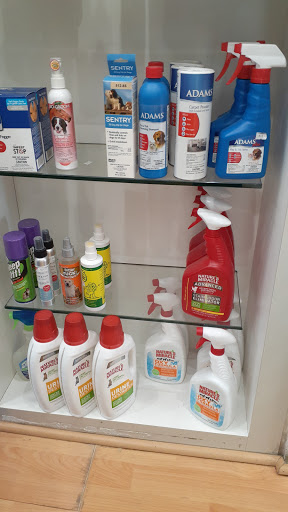 Pet Store «South Beach Pet Shop», reviews and photos, 634 6th St, Miami Beach, FL 33139, USA