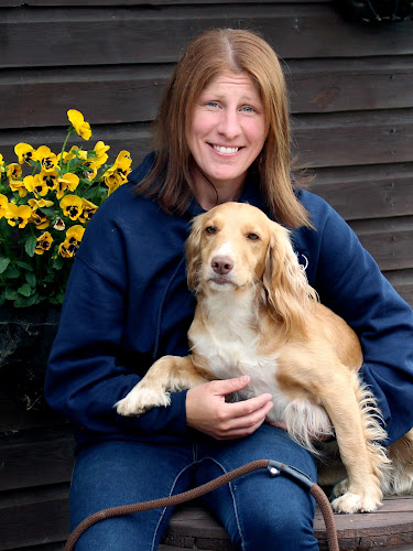 Hewson Hounds dog training - Dog trainer