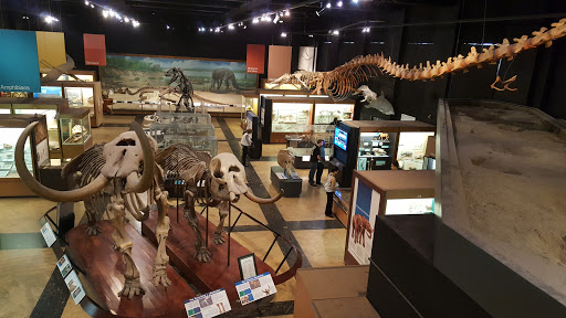 University of Michigan Museum of Natural History