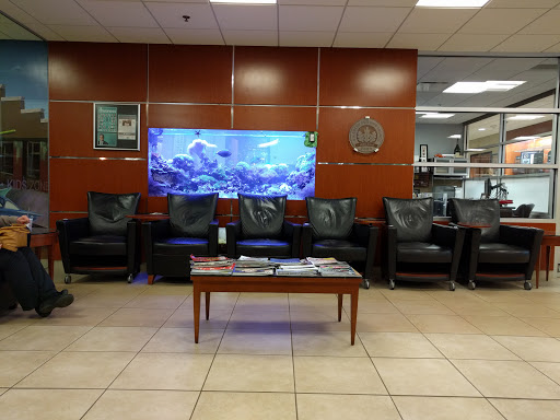 Cadillac Dealer «LaFontaine Cadillac Buick GMC», reviews and photos, 4000 Highland Rd, Highland, MI 48357, USA