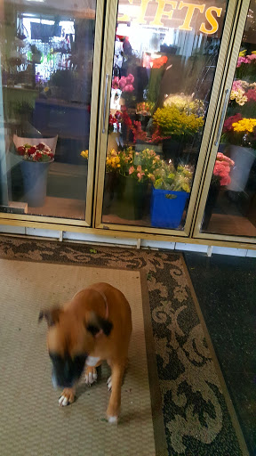 Florist «Family Florist & Gifts», reviews and photos, 1 Old Wolfe Rd, Budd Lake, NJ 07828, USA