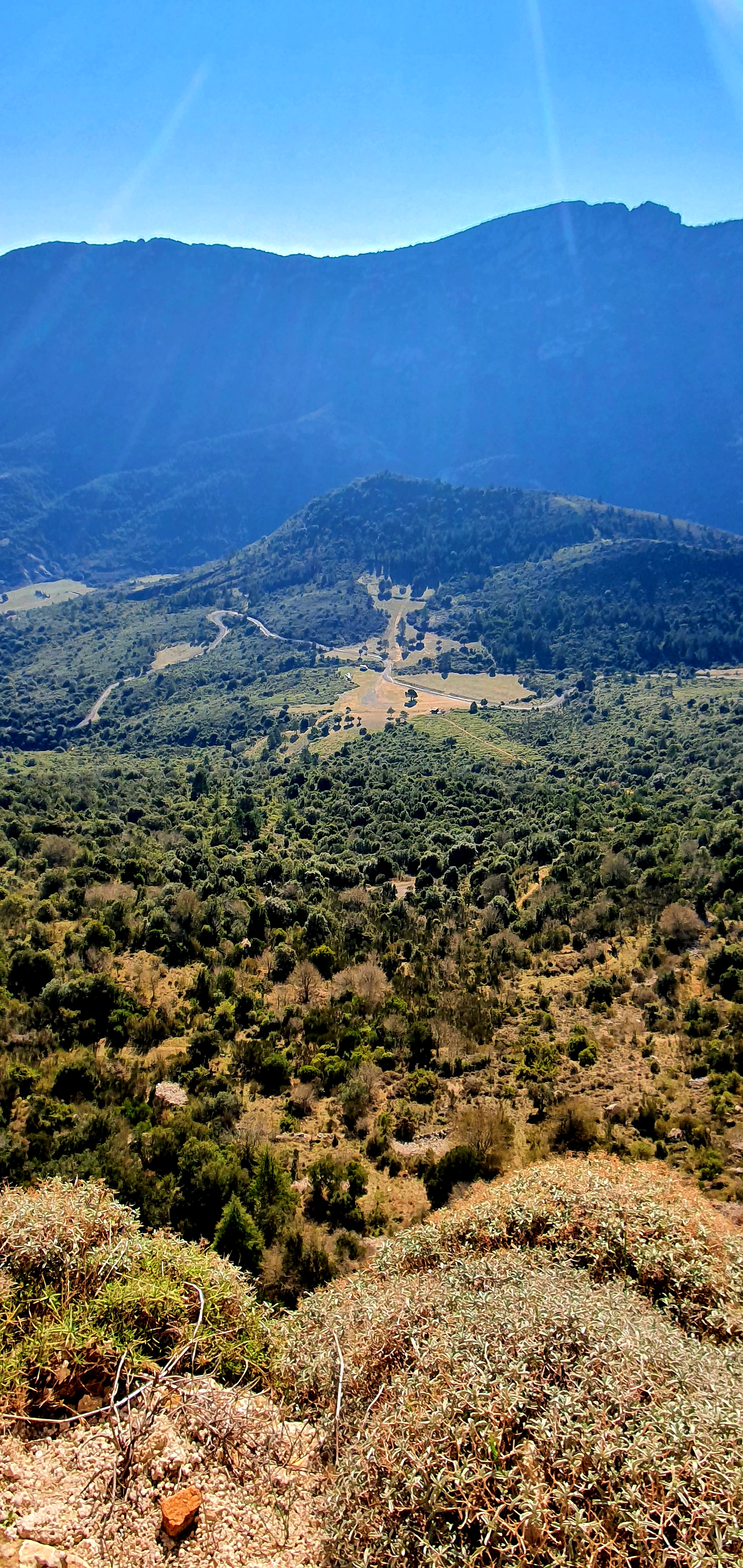 Photo n° 7 de l'avis de Veronique.a fait le 23/01/2022 à 14:54