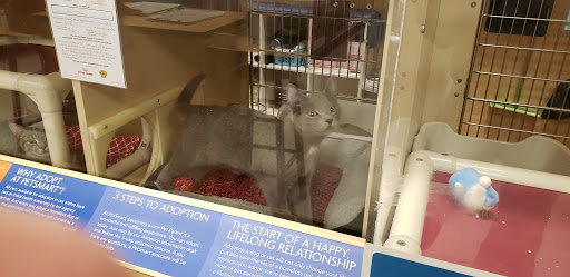 Pet Supply Store «PetSmart», reviews and photos, 62 Centerton Rd, Mt Laurel, NJ 08054, USA