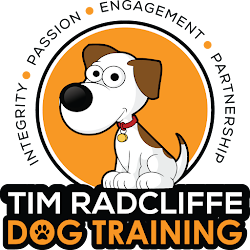 Tim Radcliffe Dog Training