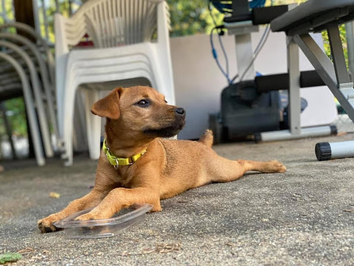 176 Willard St, Quincy, MA 02169, USA