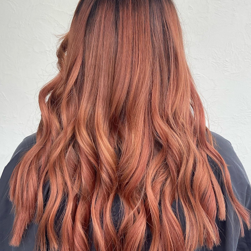 Day Spa «Posh Salon & Day Spa Inc», reviews and photos, 3210 Cypress Gardens Rd, Winter Haven, FL 33884, USA