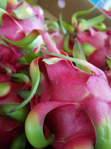 Asian Grocery Store «American Asian Foodmarket», reviews and photos, 315 N Great Neck Rd, Virginia Beach, VA 23454, USA