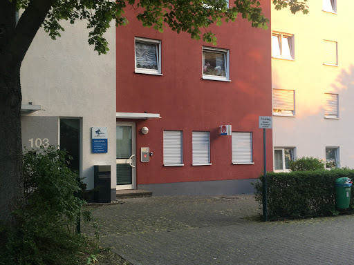 BrainCheck.Pet - Tierärztliche Praxis für Epilepsie (Tierarzt) unter Mannheim, 