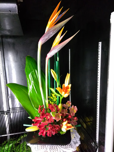 Florist «A Royal Bloom Flowers & Gifts», reviews and photos, 7252 W Oakland Park Blvd, Lauderhill, FL 33313, USA