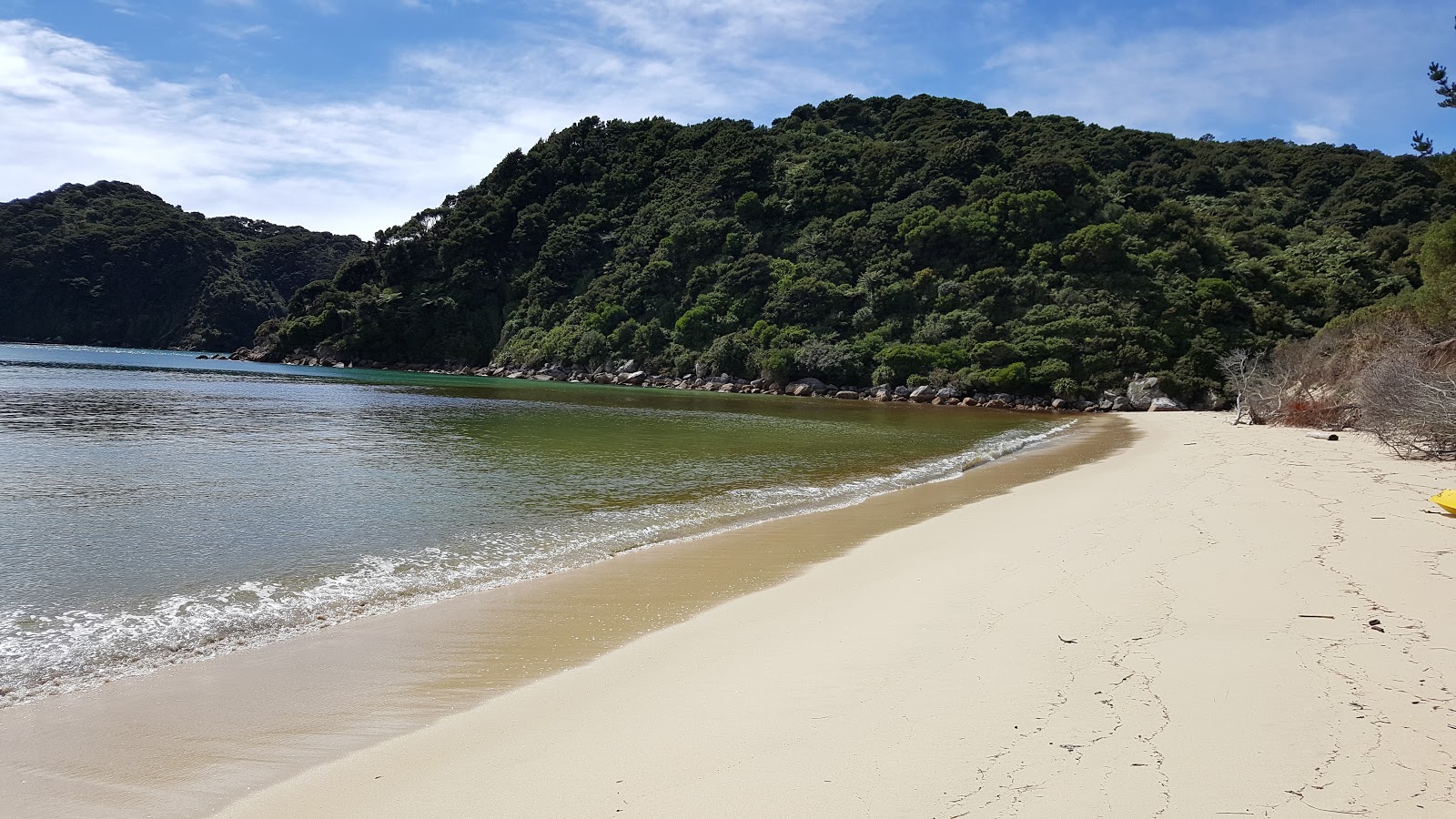 Foto de Awaroa Bay Beach com areia fina e brilhante superfície