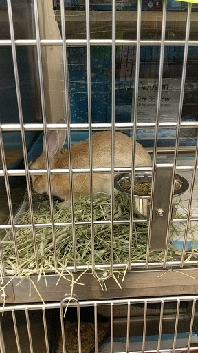 Pet Supply Store «PetSmart», reviews and photos, 28533 Marlboro Ave, Easton, MD 21601, USA
