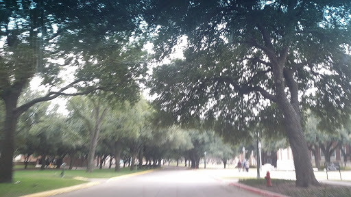 Museum «Meadows Museum», reviews and photos, 5900 Bishop Blvd, Dallas, TX 75205, USA