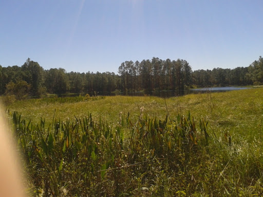 Golf Club «Eagle Creek Golf Community», reviews and photos, 10350 Emerson Lake Blvd, Orlando, FL 32832, USA