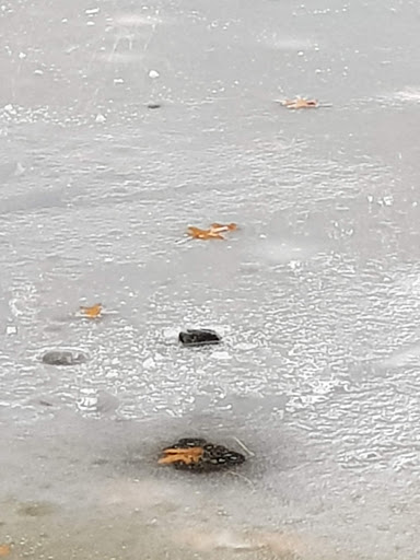 State Park «Breakheart Reservation», reviews and photos, 177 Forest St, Saugus, MA 01906, USA