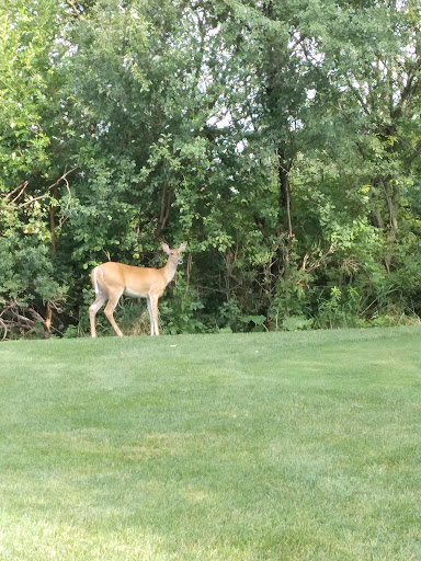 Golf Course «Delbrook Golf Course», reviews and photos, 700 S 2nd St, Delavan, WI 53115, USA