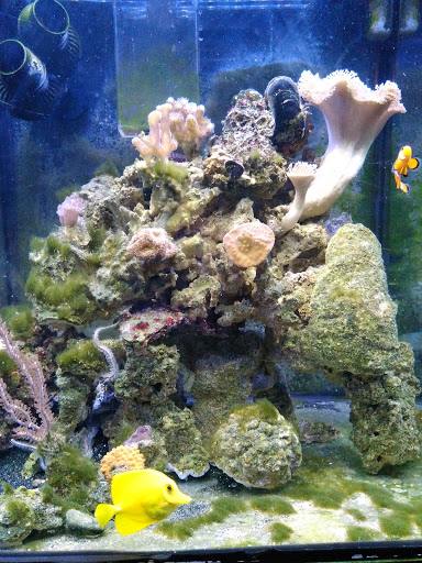 Pet Store «Ark Pet Shop», reviews and photos, 2400 W Lincoln Hwy, Merrillville, IN 46410, USA