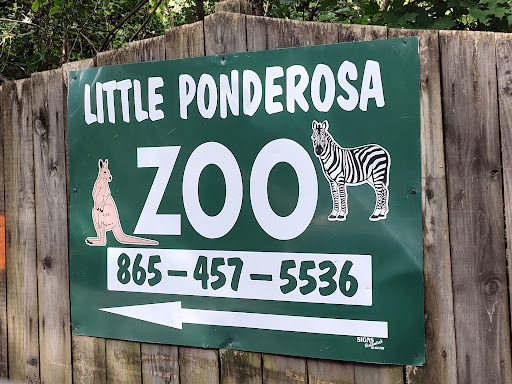 Zoo «Little Ponderosa Zoo and Rescue», reviews and photos, 629 Granite Rd, Clinton, TN 37716, USA