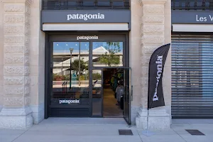 Patagonia image