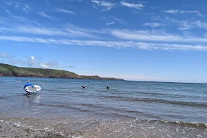 Freshwater East Local Nature Reserve image