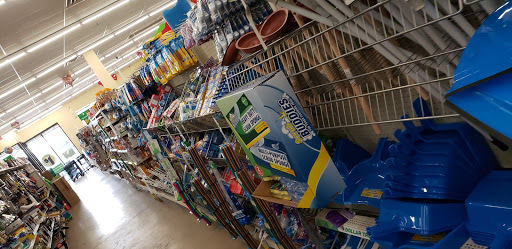 Dollar Store «Dollar Tree», reviews and photos, 4101 Dempster St, Skokie, IL 60076, USA
