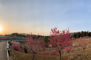 花桃の丘 image