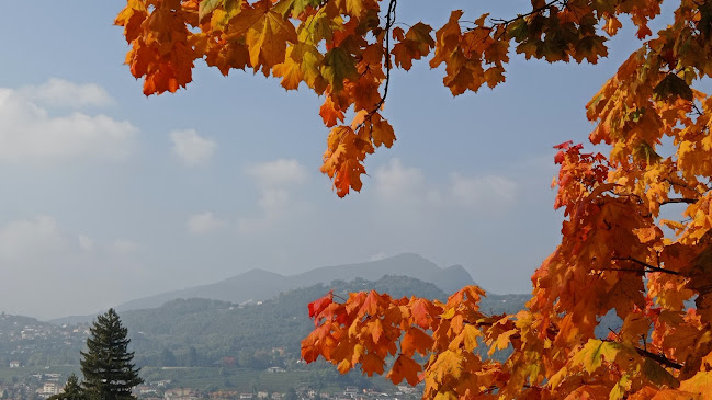 Rezensionen über Fondazione Paolo Torriani per minorenni in Mendrisio - Verband