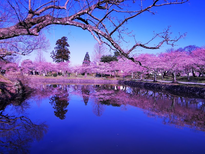 鶴岡公園