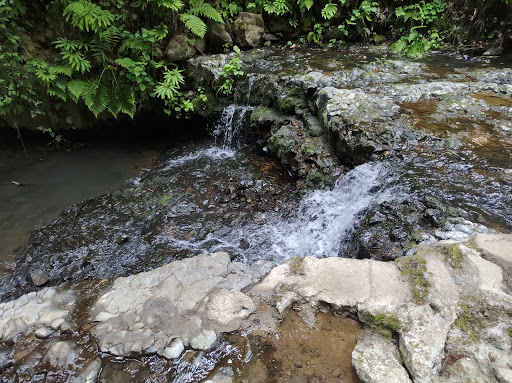 Park «Macleay Park», reviews and photos, NW 29th Ave & Upshur St, Portland, OR 97210, USA