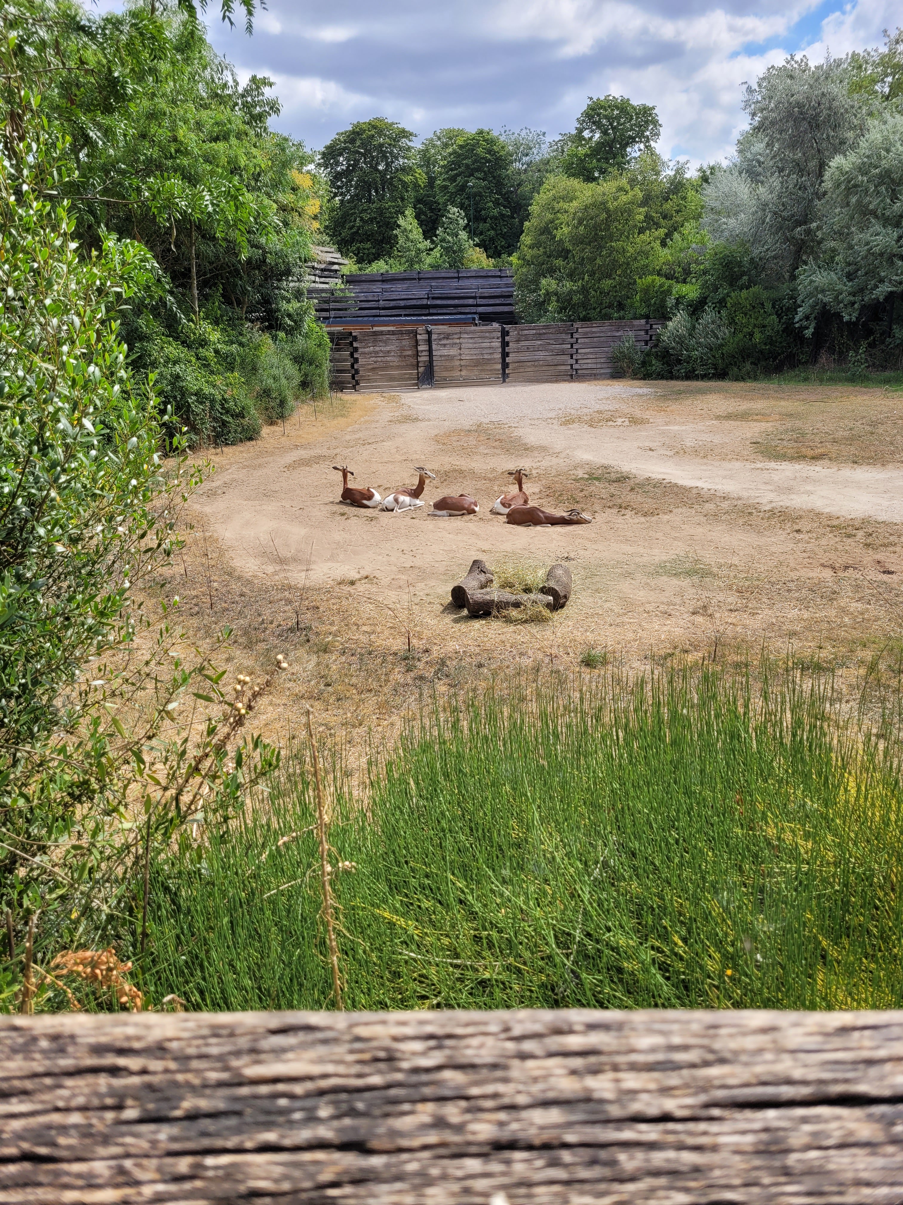 Photo n° 3 de l'avis de Muntaha. fait le 15/08/2023 à 13:56