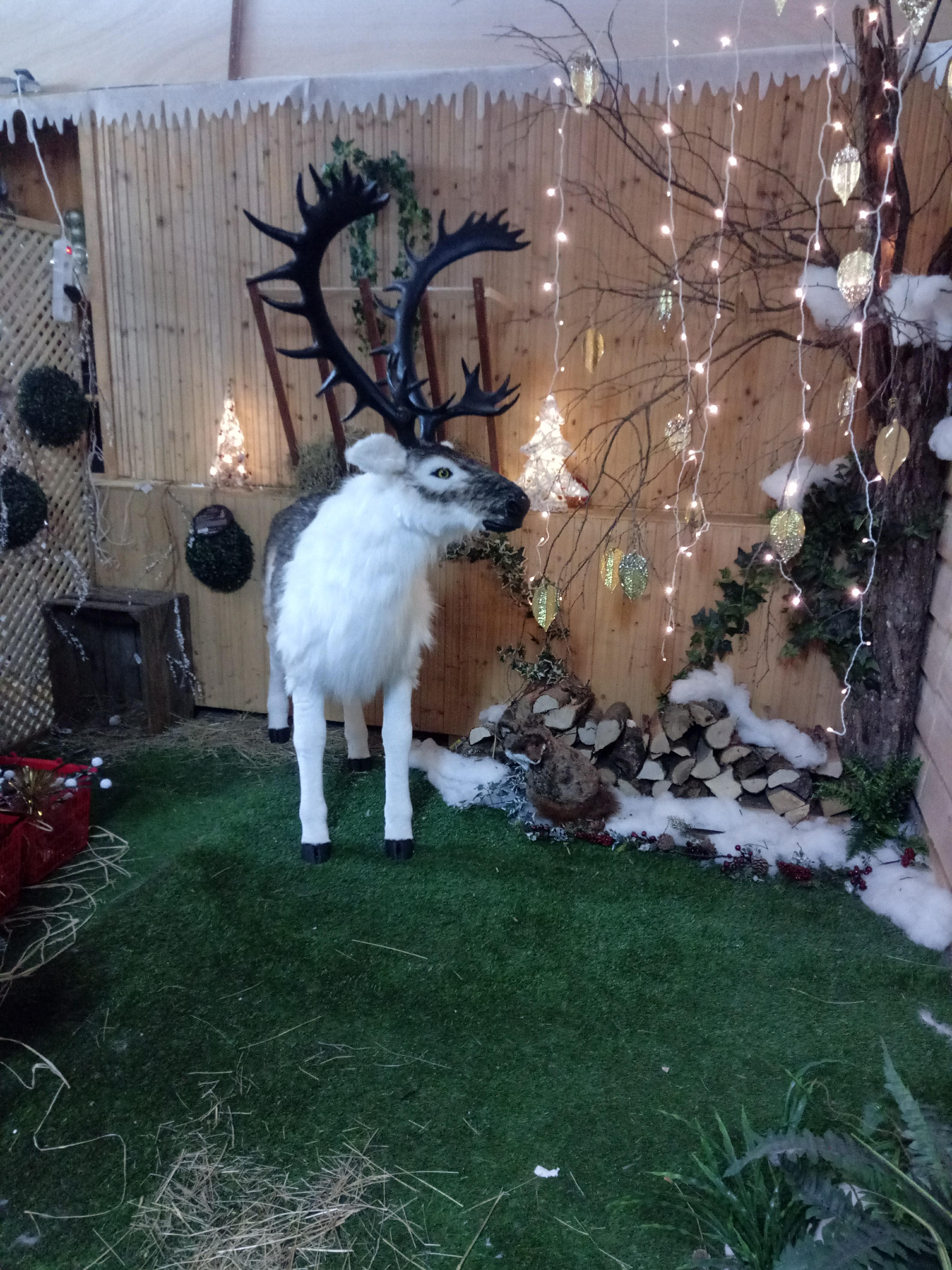 Photo n° 3 de l'avis de Maéva.I fait le 19/12/2018 à 16:30