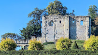 Château de Langeais du Restaurant Au Coin Des Halles à Langeais - n°2
