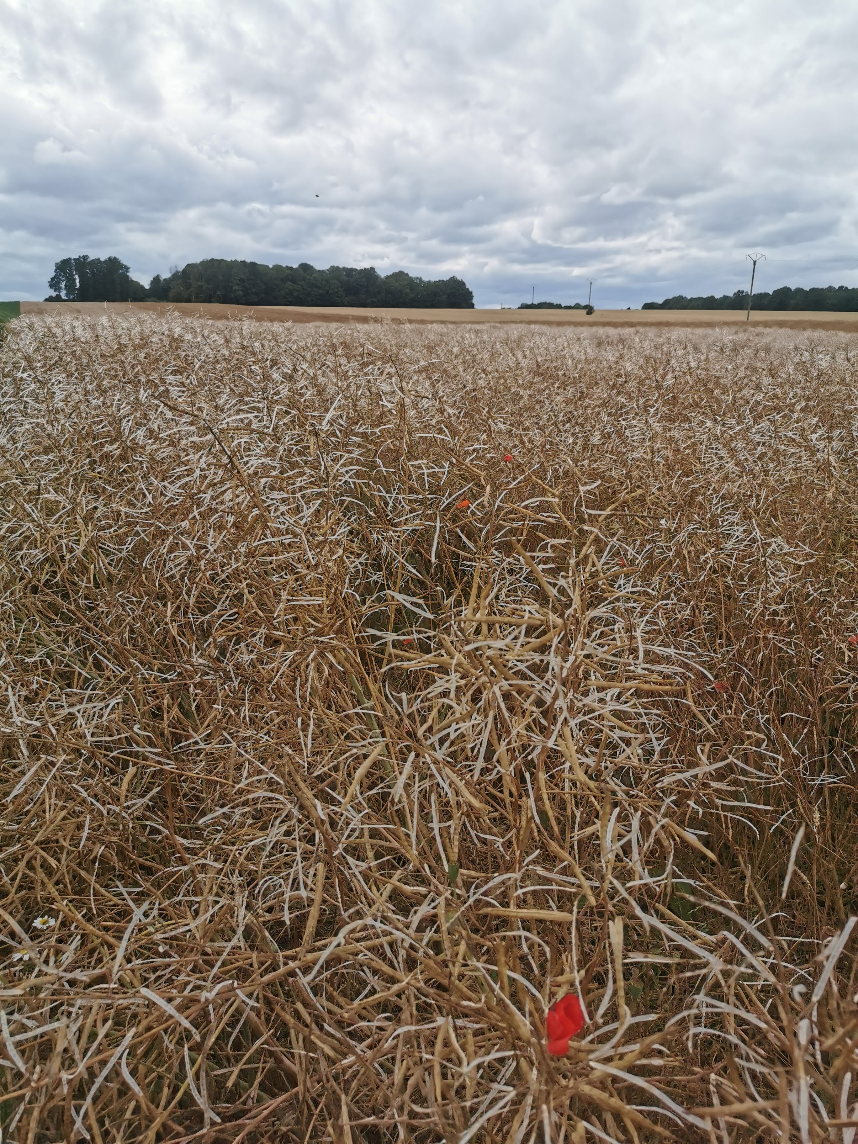 Photo n° 3 de l'avis de DANIEL.A fait le 19/04/2021 à 19:42