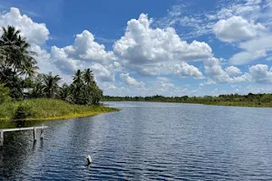 Danau Sanggu image