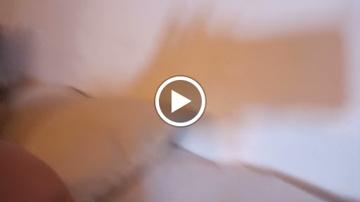 Toy Store «Disney Store», reviews and photos, 564 Great Northern Shop Center, North Olmsted, OH 44070, USA