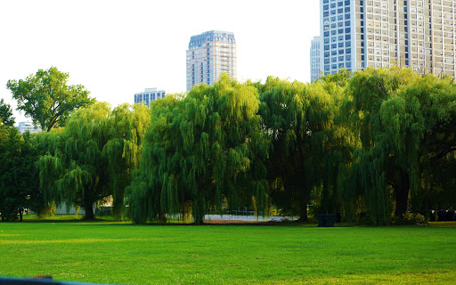 Golf Driving Range «Diversey Driving Range», reviews and photos, 141 W Diversey Pkwy, Chicago, IL 60657, USA