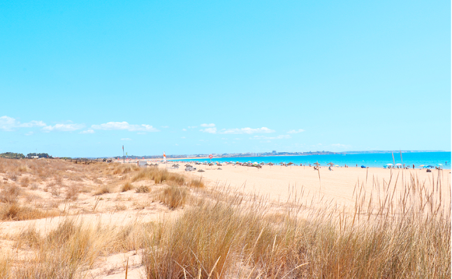 Sítio Meia Praia, 8600-315 Lagos