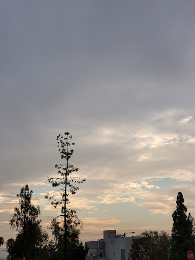 Shopping Mall «Carousel Mall», reviews and photos, 295 Carousel Mall, San Bernardino, CA 92401, USA